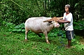 0200 Tana Toraja
