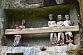 0204 Tana Toraja - Lemo