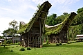0215 Tana Toraja - Lemo