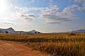 0030 Mlilwane Wildlife Sanctuary