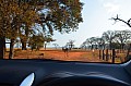 0035 Mlilwane Wildlife Sanctuary