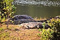 0037 Mlilwane Wildlife Sanctuary