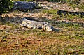 0038 Mlilwane Wildlife Sanctuary