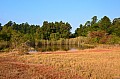 0043 Mlilwane Wildlife Sanctuary