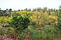 0054 Mlilwane Wildlife Sanctuary