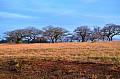 0055 Mlilwane Wildlife Sanctuary