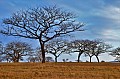 0056 Mlilwane Wildlife Sanctuary