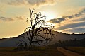 0062 Mlilwane Wildlife Sanctuary