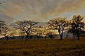 0063 Mlilwane Wildlife Sanctuary