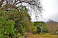 0065 Ezulwini valley
