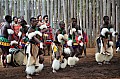 0082 Mantenga cultural village
