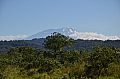 0011 Arusha NP