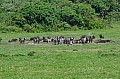 0013 Arusha NP