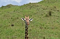 0015 Arusha NP