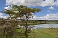 0021 Arusha NP