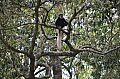 0028 Arusha NP