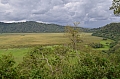 0029 Arusha NP