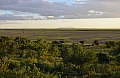 0031 Lake Manyara