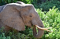0036 Lake Manyara