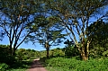 0038 Lake Manyara