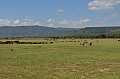 0040 Lake Manyara