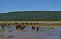 0041 Lake Manyara