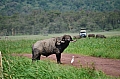 0045 Lake Manyara