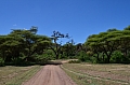 0047 Lake Manyara