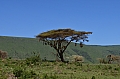 0063 Ngorongoro