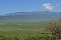 0064 Ngorongoro
