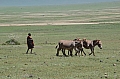 0066 Ngorongoro