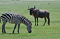 0069 Ngorongoro