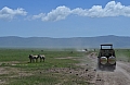 0074 Ngorongoro