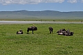0080 Ngorongoro