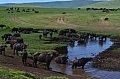 0083 Ngorongoro