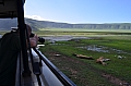 0084 Ngorongoro