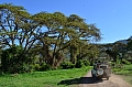 0091 Ngorongoro