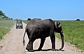 0107 Serengeti