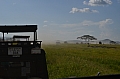 0127 Serengeti