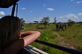 0129 Serengeti
