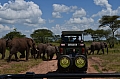 0130 Serengeti