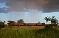 0133 Serengeti