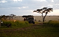 0134 Serengeti