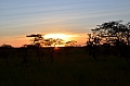 0135 Serengeti