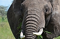 0149 Serengeti