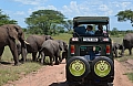 0162 Serengeti