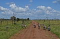 0168 Serengeti