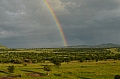 0172 Serengeti