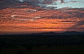 0177 Serengeti