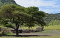 0182 Lake Natron